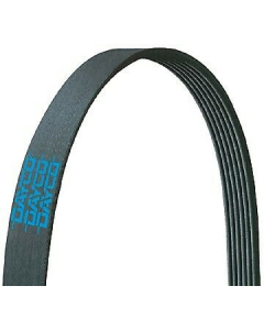 Drivrem bruk dayco 5061005