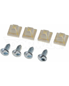 Security screw bruk 49258