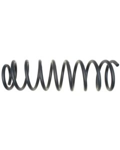 Front coil spring